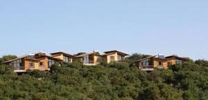 Hiking through Ajloun Forests