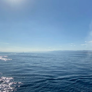 Aqaba Trip 4 Days / 3 Nights